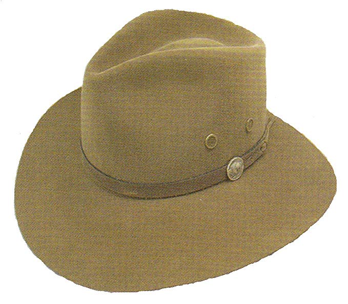 Stetson Montana Hat